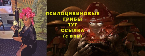 прущая мука Богородицк