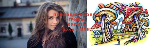прущая мука Богородицк
